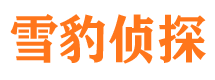 大方市私家侦探公司